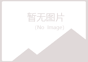 桃山区冰夏艺术有限公司